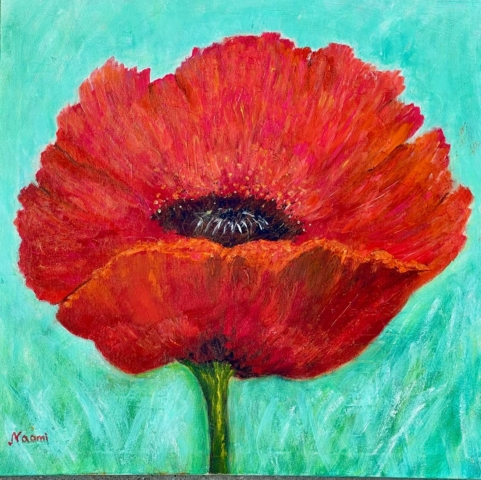 Red Poppy Oil 16"x16" $400